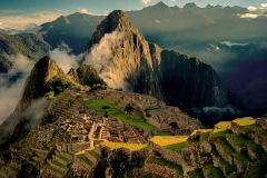 machupicchu-sakura